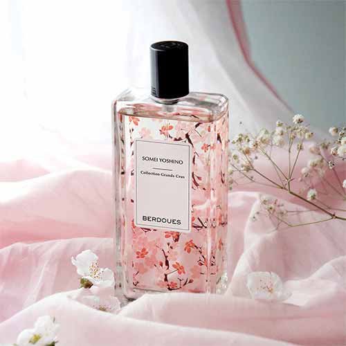 BERDOUES Somei Yoshino - Grand Cru Sammlung 3331849002458 BERDOUES Somei Yoshino - Grand Cru Sammlung 3331849002458
